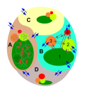 Eco structure