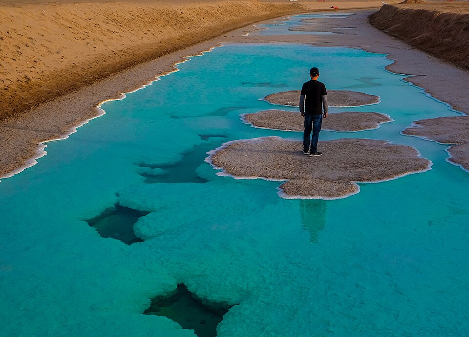 Al Wathba Wetland ReservePhotograph: Ronnie Altising