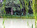 扬州瘦西湖鹭岛