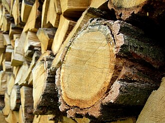 Oak firewoods