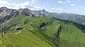 Fellhorn