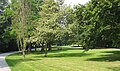 Bäke Park