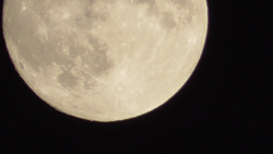 The Moon a day before Full Moon